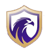 Falcon FC