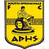 South Springvale SC