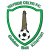 Wayside Celtic
