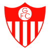 Guarany de Bage