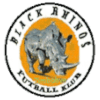 Black Rhinos