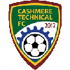 Cashmere Technical (W)