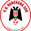 CD Rancagua Sur