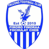 Falcons FC