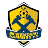 Ekwendeni Hammers