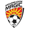 Broadmeadow Magic Reserves