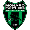 Monaro Panthers U23