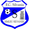 CS Sportul Simleu Silvaniei