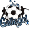 CD Gallegol S.A.S.