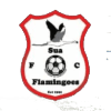 Sua Flamingoes