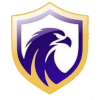 Falcon FC SE Youth