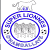 Super Lionnes (W)