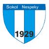 Sokol Nespeky