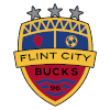 Flint City AFC (W)