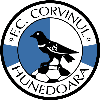 CS Corvinul Hunedoara