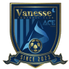 Sejong Vanesse FC