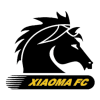 Wuhan Xiaoma