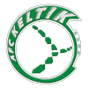AFC Keltik