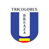 CS Tricolorul Breaza