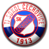 Sokol Cechovice