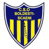 CSO Boldesti Scaieni