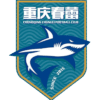 Chongqing Chunlei