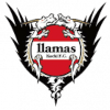 Llamas Kochi FC