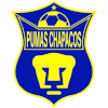 Pumas Chapacos
