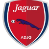 Jaguar PE U20