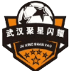 Wuhan Juxing Shanyao