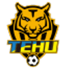 Nanjing Tehu Football Club