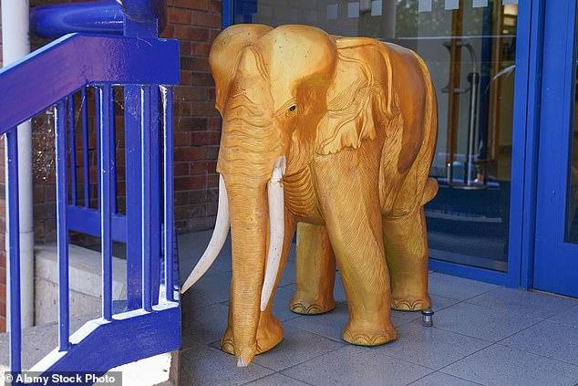 ‘นกเค้าแมว’ ประมูล ‘ช้างทองคำ’ ใช้หนี้