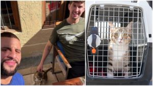 รางวัลปลอบใจ! ‘สโตนส์,วอล์คเกอร์’ ร่วมพา ‘แมว’ กลับจากกาตาร์