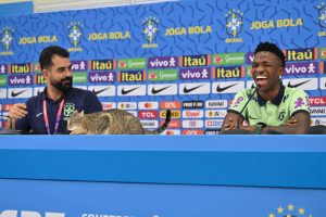 ขโมยซีน! เผยคลิป ‘แมว’ โผล่แจมขณะ ‘วินิซิอุส’ สัมภาษณ์