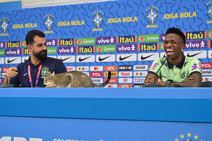 ขโมยซีน! เผยคลิป ‘แมว’ โผล่แจมขณะ ‘วินิซิอุส’ สัมภาษณ์