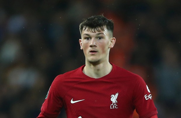 แตน, หงส์ขาวสนยืม ‘แรมซี่ย์’ เก็บเวลลีกรอง