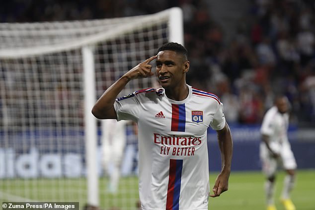 จิ้งจอกสนคว้า ‘เตเต้’ ปีกลียง