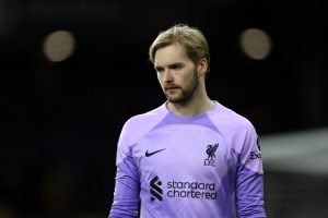 ผึ้งเหล่ ‘ลูกหมี’ ตัวเลือกทดแทนราย่า