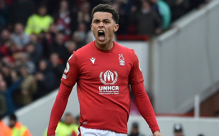 เจ้าป่าปัดข้อเสนอผึ้งทุ่ม 40 ลป.หวังสอย ‘จอห์นสัน’