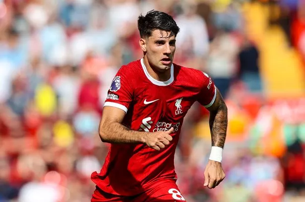 ฮาวรับชอบ ‘โซโบ’ แต่แพงไปสำหรับสาลิกา