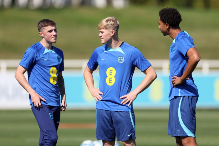 สิงโตพัก ‘ซาก้า,โคลวิลล์’ เรียก ‘ฮอลล์’ ซ้อมแทน