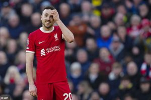 หงส์เฮ TAA, โชต้า ส่อฟิตทันแดงเดือด