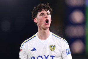 ราชัน,เสือใต้ส่งแมวมองดู ‘เกรย์’ เด็กปั้นยูงทอง