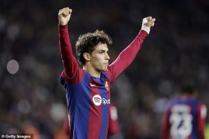 วิลล่าจริงจังอยากได้ ‘เฟลิกซ์’