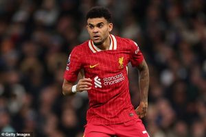 หงส์ไร้ความคืบหน้าถกสัญญา ‘ดิอาซ’