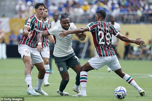 งูรายล่าร่วมวงสน ‘เอ็นคุนคู’