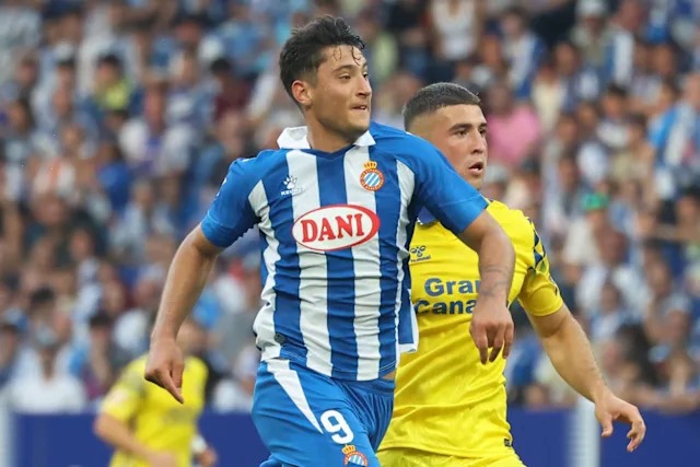 ไก่ปล่อยยืม ‘เบลิซ’ กลับถิ่นเก่า