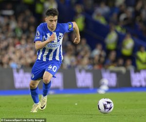 เสือเหลืองปิ๊งไอเดียตามจีบ ‘บัวนาน็อตเต้’