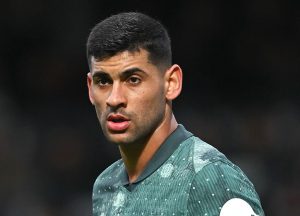 ตราหมีสู้มั้ย?! ไก่ตั้งราคา ‘โรเมโร่’ 70 ลป. ถ้าย้ายร้อนนี้