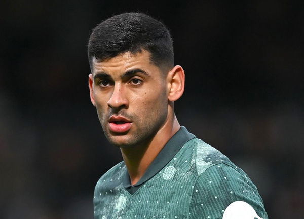 ตราหมีสู้มั้ย?! ไก่ตั้งราคา ‘โรเมโร่’ 70 ลป. ถ้าย้ายร้อนนี้